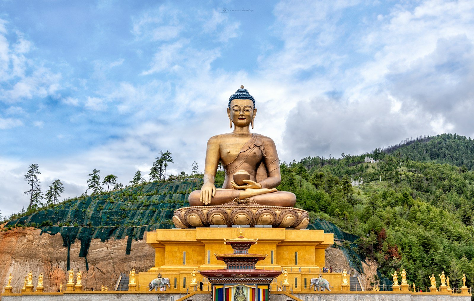 sitting Buddha statue at daytime